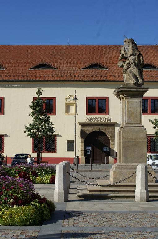 Villa Letna Brandýs nad Labem-Stará Boleslav المظهر الخارجي الصورة